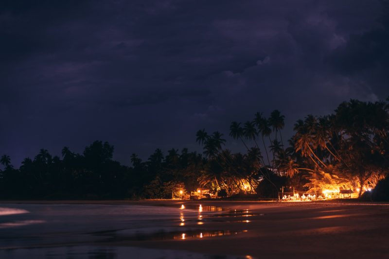 night time beach scene with illuminated palm trees